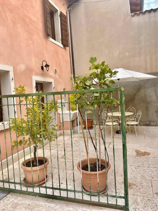 Villa Casa Ca Orsa Cavaion Veronese Esterno foto